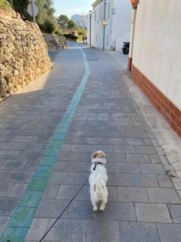 Altea Beachgate - Acceso Privado A La Playa Exterior photo